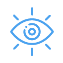 vision